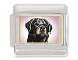 ROTTWEILER Rotty Dog Italian Charm