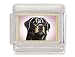 rottweiler1  - ROTTWEILER Rotty Dog Italian Charm