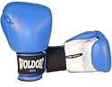 Boxing Gloves for Kids Blue 8oz