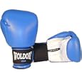 Boxing Gloves for Kids Blue 4oz