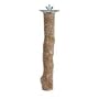 Prevue Pet Products Beach Branch Perch - Medium - 9"