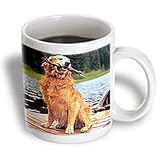 Dogs Golden Retriever - Golden Retriever - Mugs