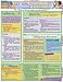SAT Tips: Verbal Quick Study Guide by BarCharts