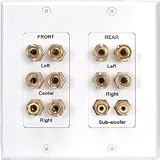 Dayton WPI-5.1 5.1 Channel Wall Plate