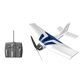 Single Wing RTF Electric RC Remote Control Airplane (Color May Vary) from Toy RC Airplanes
