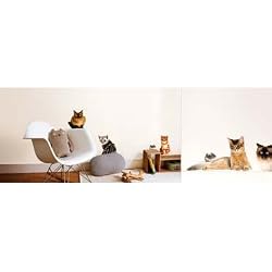 Cat and Mouse- French removable Wall Stickers
