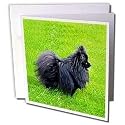 Dogs Pomeranian - Black Pomeranian - Greeting Cards-12 Greeting Cards with envelopes