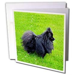 image link -  - B000VG54RC