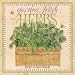 Garden Fresh Herbs 2010 Wall Calendar