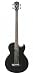Washburn Acoustic Basses