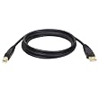Tripp Lite U022-010 USB2.0 Certified Gold A/B Device Cable - 10ft
