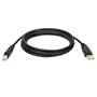 Tripp Lite U022-010 USB2.0 Certified Gold A/B Device Cable - 10ft