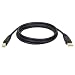 Tripp Lite U022-010 USB2.0 Certified Gold A/B Device Cable - 10ft