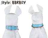 Blue Dog/Pet Collar with Boy/Male Theme Pendants and Matching Leash (Medium 13)