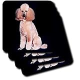 Dogs Poodle - Pink Poodle - Coasters