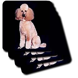 Dogs Poodle - Pink Poodle - Coasters