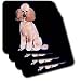 Dogs Poodle - Pink Poodle - Coasters