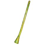 X8 Didgeridoo, Green Swirl Large Horn