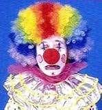 F52967/837 Multi Color Clown Wig Economy 52967