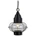 Onion-TB - 1 Light Nautical Outdoor Lighting Pendant Fixture - Textured Black - B2473