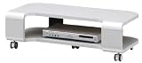 SHIRAI ティレスタ (カーブ) 32V薄型テレビ対応TＶ台(ロータイプ) シルバー TLS-32VLSV