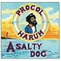 A Salty Dog
