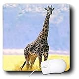 Giraffe - Giraffe - Mouse Pads