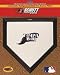 Tampa Bay Devil Rays Mini Home Plate