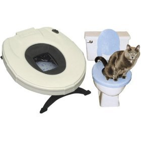 cat toilet training