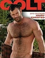 Colt Hairy Chested