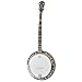 Epiphone MB-250 Banjo, Red Brown