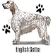 English Setter Adult Sweatshirt