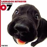 THE DOG ラブラドール・レトリーバー 2007年 カレンダー