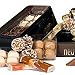The Art of Fine Chocolate