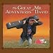The Great Adventures of Mr. David