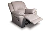Promenade Taupe Leather Recliner by Coaster