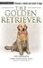 golden retriever - The Golden Retriever: Terra-Nova Dog Breed Series