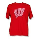 Wisconsin Badgers T-shirts - Distressed
