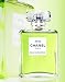 Chanel No 19 Perfume - EDP 100ml
