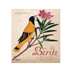 Birds: The Art of Ornithology