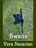 Swans