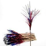 Patriotic Fireworks Food Picks