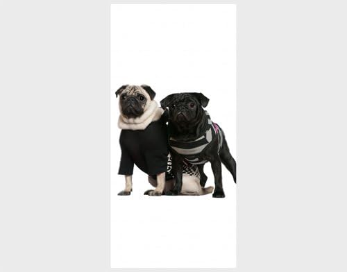 Photo wall mural door no.38 POSH PUG DOGS 39.37"x82.68" Wallpaper, wall art, wall decor, Dogs, Puppies, Pugs, Fashion, Funny, low-priced