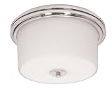 Nuvo Lighting 60/3862 Jet 2-Light Flush with Frosted Glass, Brushed Nickel
