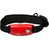 31Q2 CStaNL. SL160  Small No Bark Collar   Red