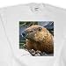 Wild animals - Groundhog - Sweatshirts