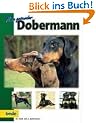 Mein gesunder Dobermann