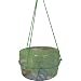 Wasp Trap