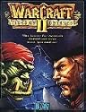 Warcraft II: Tides of Darkness