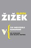 The Indivisible Remainder (Radical Thinkers),
Slavoj Zizek